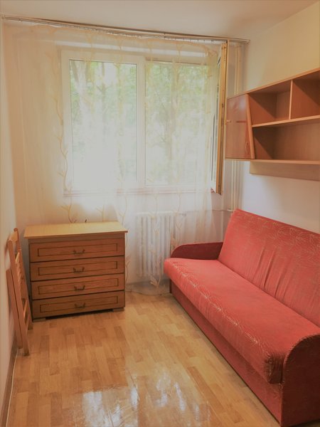 Drumul Taberei- Cetatea Histria- Romancierilor